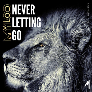 Never Letting Go (Instrumental Mix)