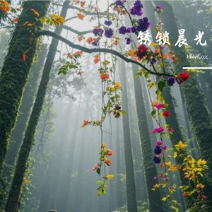 锈锁晨光