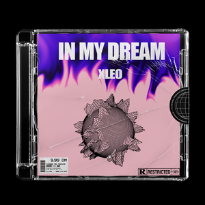 In my dream【prod by bubbleboy】
