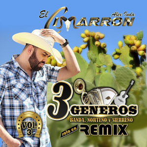 Nieves de Enero/Abrazado de un Poste/Mi Casa Nueva (Remix)