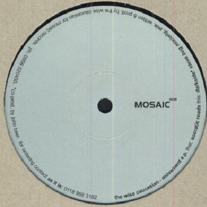 Darkside (Steve Bug Mix)
