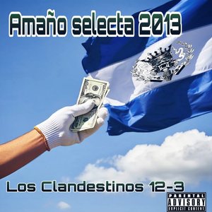 Amaño Selecta 2013