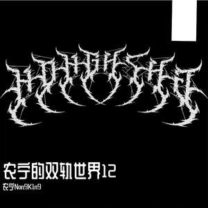 农宁的双轨世界12