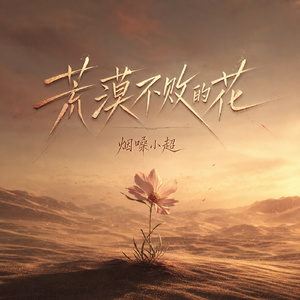 荒漠不败的花