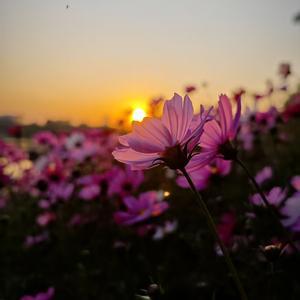 几人友情岁月长