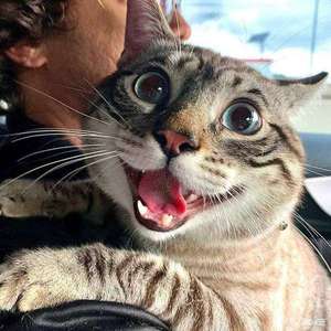 2020412日记（prod.byR7）