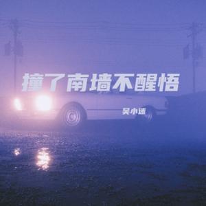 撞了南墙不醒悟