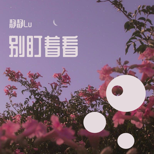 别盯着看（翻自 宋枝恩）