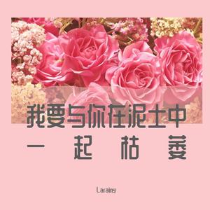 相思（Cover 毛阿敏）