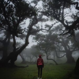 [FREE]“坠入”Sad Jerk Type Beat