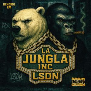 LSDN