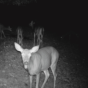 I’m on a Different Wavelength than Everyone Else