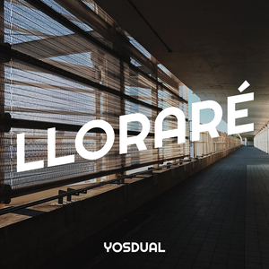 Lloraré