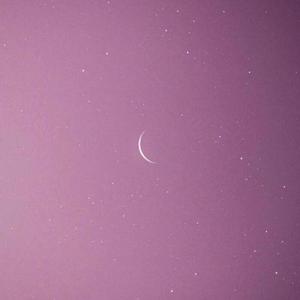 ALL-RANGE-樱花草（Lil p / TC remix）