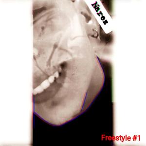 Freestyle #1 in risalto flow/testo