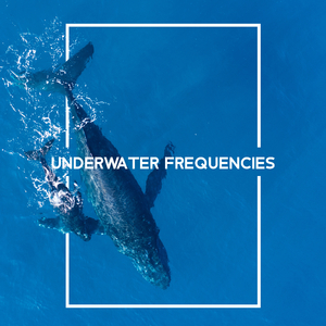 Inteligent Ocean Friends