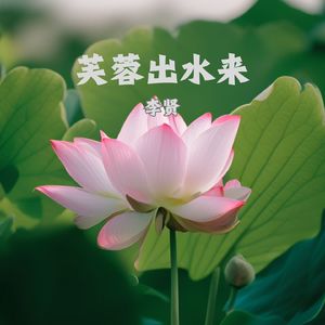 芙蓉出水来
