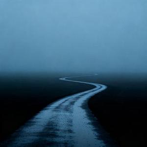 半生风雨路