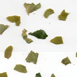 一首关于睡觉的歌