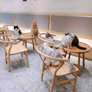 北极光（《盛夏的果实》粤语版）