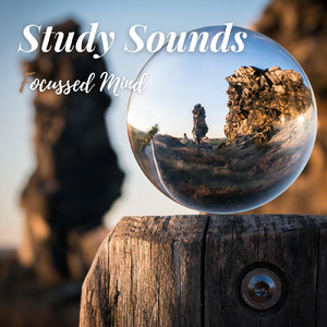 The Learning Necessity