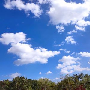 对不起，我爱你（片段）