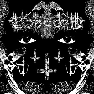 Gallery of Dead Pigs