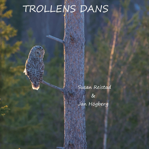 Andenespolskorna (feat. Jan Högberg)