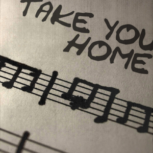 Take You Home