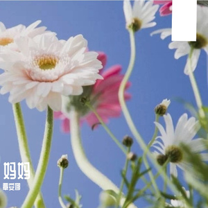 明媚时光的49秒旋