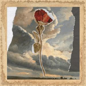 Aşkından Ağlarken