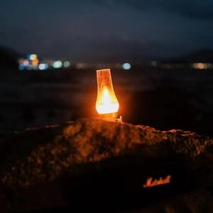 怪我更爱我自己