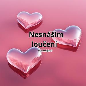 Nesnáším loučení