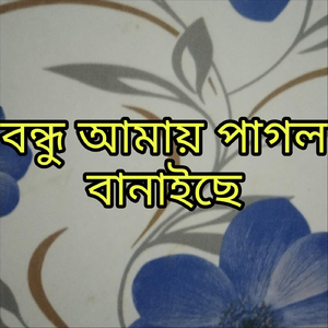 বন্ধু আমায় পাগল বানাইছে