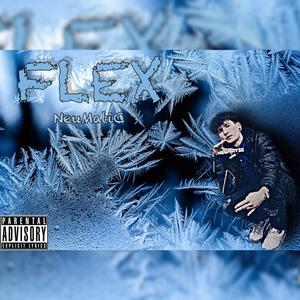 Flex