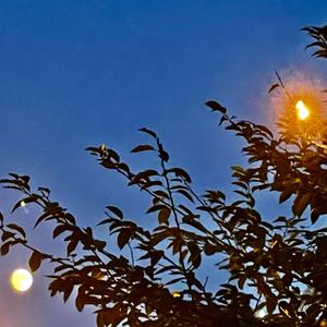 Nick.Y-IMG_0353（MININIG remix）