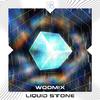 Woomix - Liquid Stone