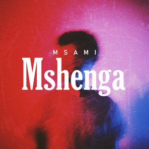 Mshenga