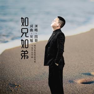 如兄如弟 (DJ小鱼儿版)