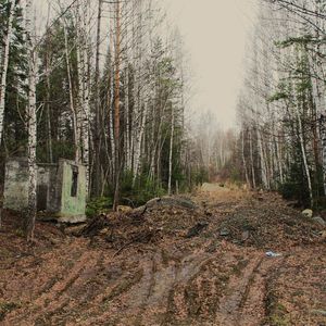 Мораль (bonus track)