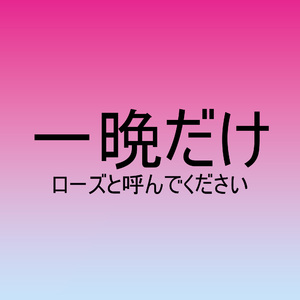一晩だけ