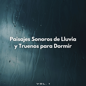 Lluvia Que Llovió