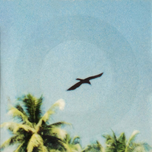 Beached (Radio Version)