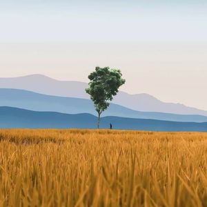 黑夜星海-整曲 伴奏