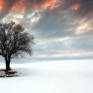 我的内心下起了暴雨