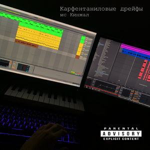 Монетарный концептуализм