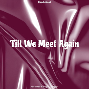 Till We Meet Again (Freestyle)