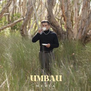 umbau