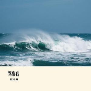 骂醒我 (Cover 周汤豪 NICKTHEREAL)