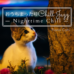 The Pleasures of the Night